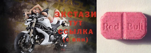 гашик Алексин