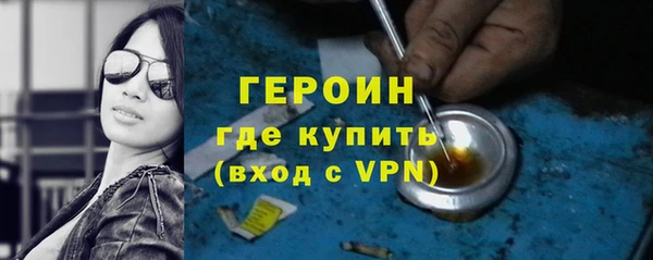 гашик Алексин