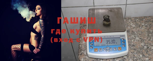 гашик Алексин