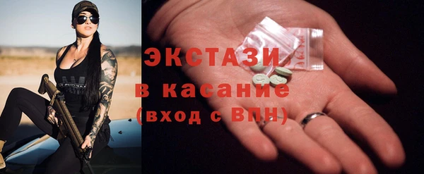 гашик Алексин