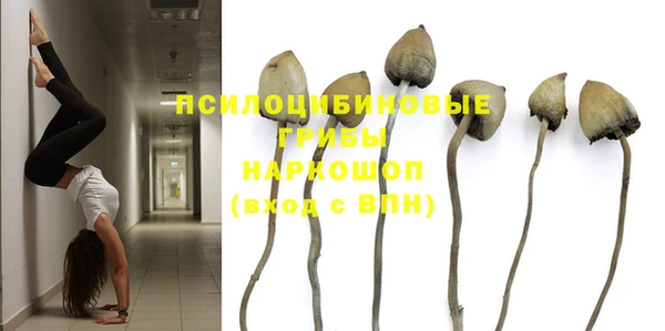 марки nbome Алзамай