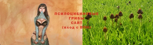 марки nbome Алзамай